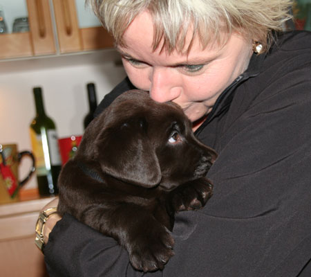 choko en mørkebrun labrador